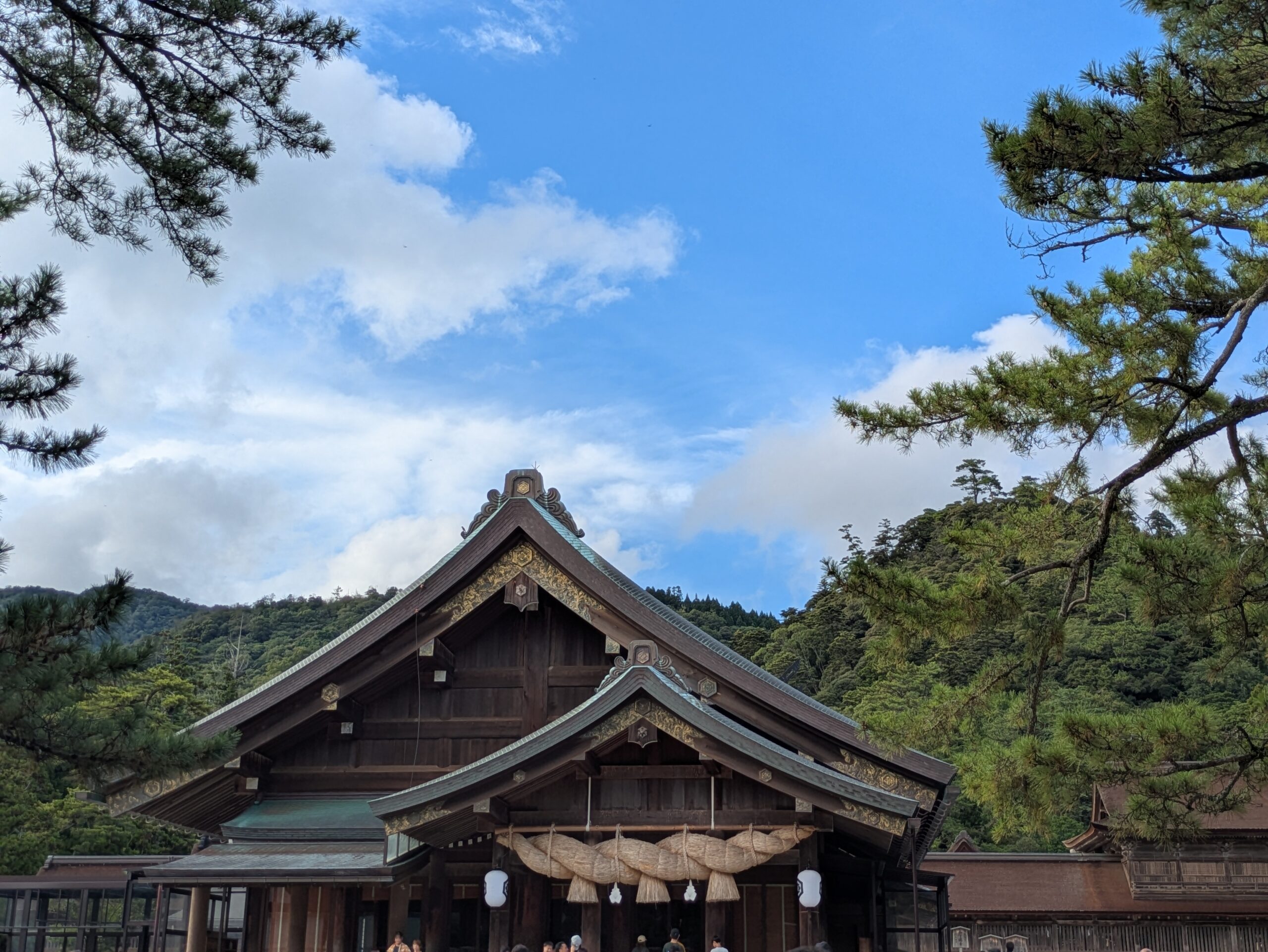 出雲大社 本殿（大社造・夕方の光）